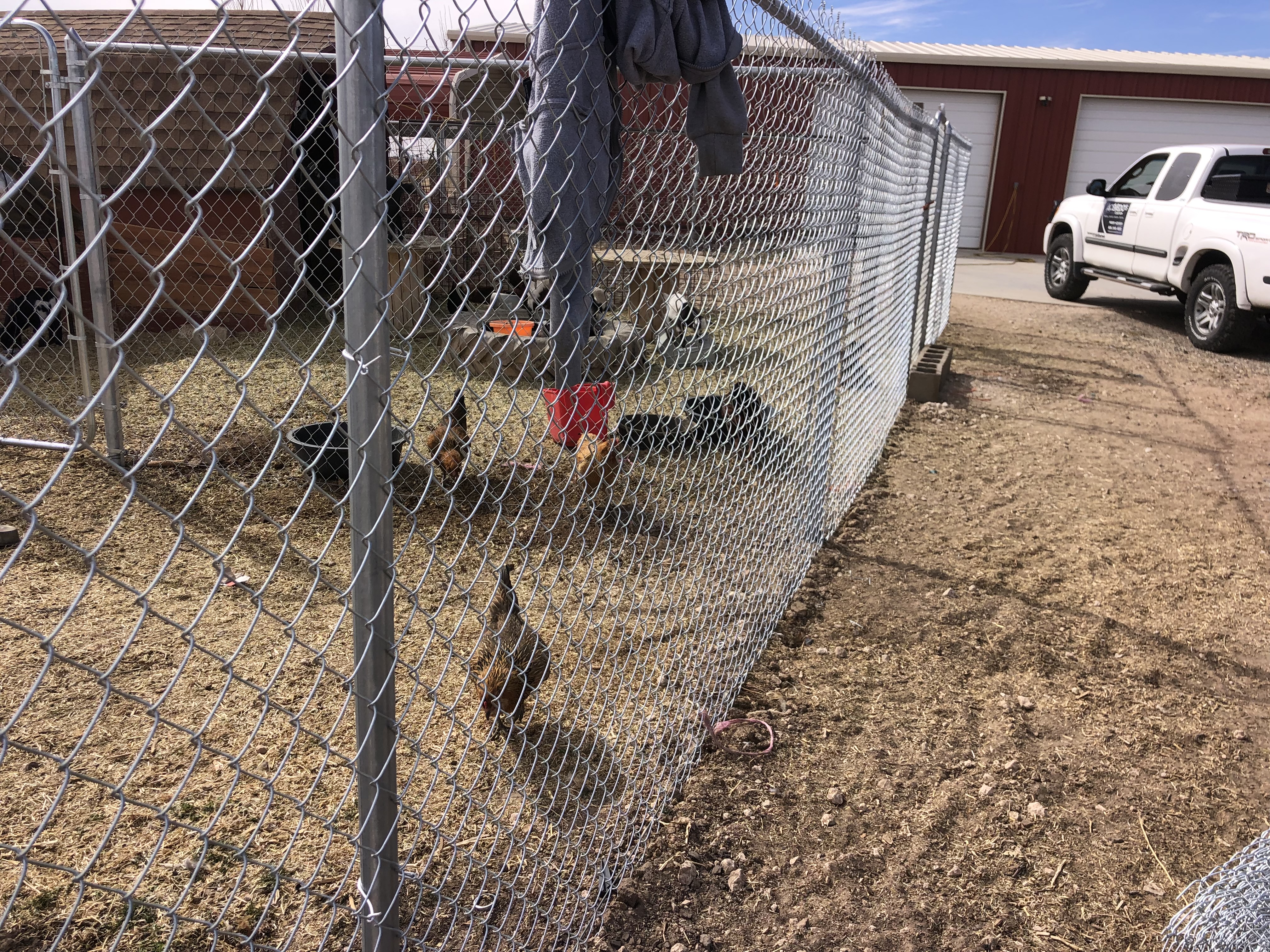 Chainlink Fence