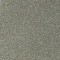 Champagne Metallic