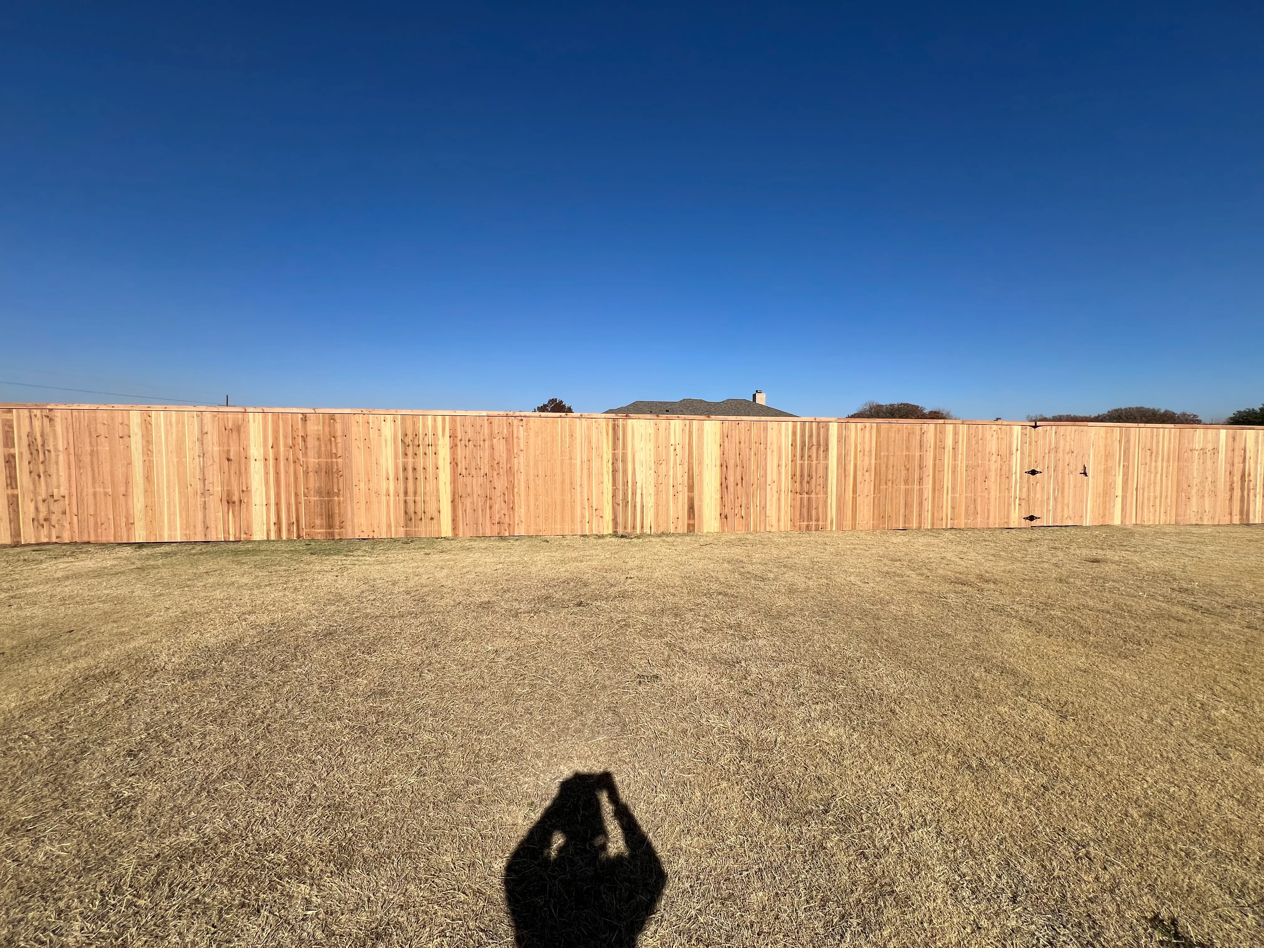 Wide-angle view of cedar perimeter fence showing straight alignment