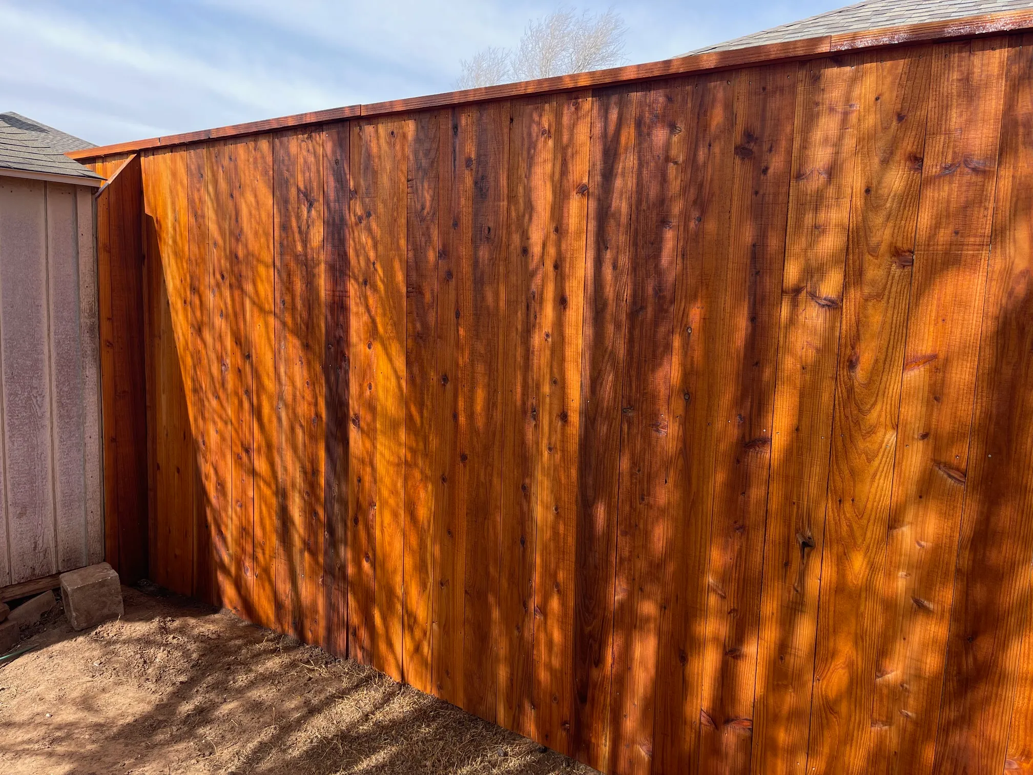 7-ft cedar fence with stain