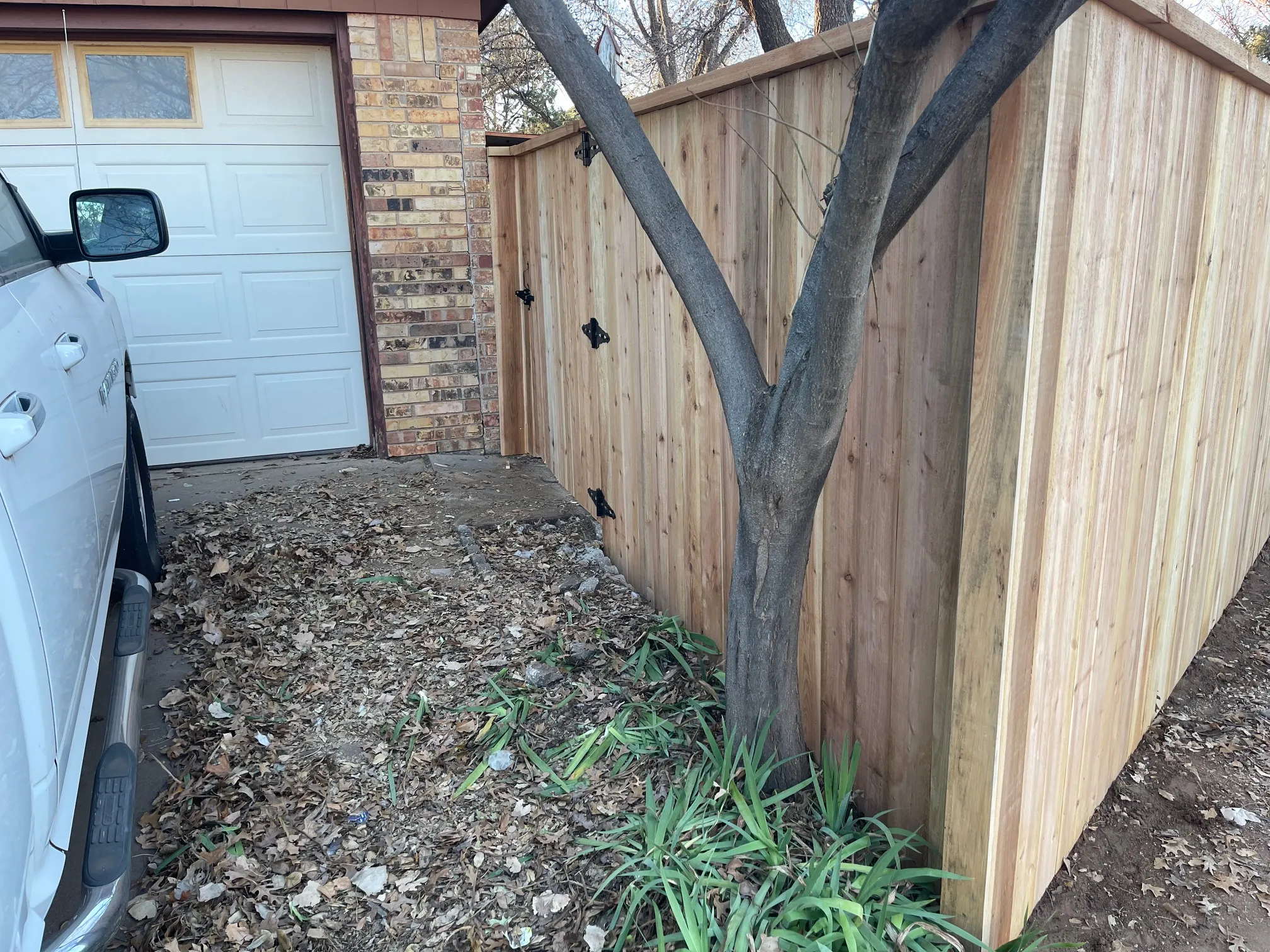 View down the cedar fence line showing consistent spacing and posts