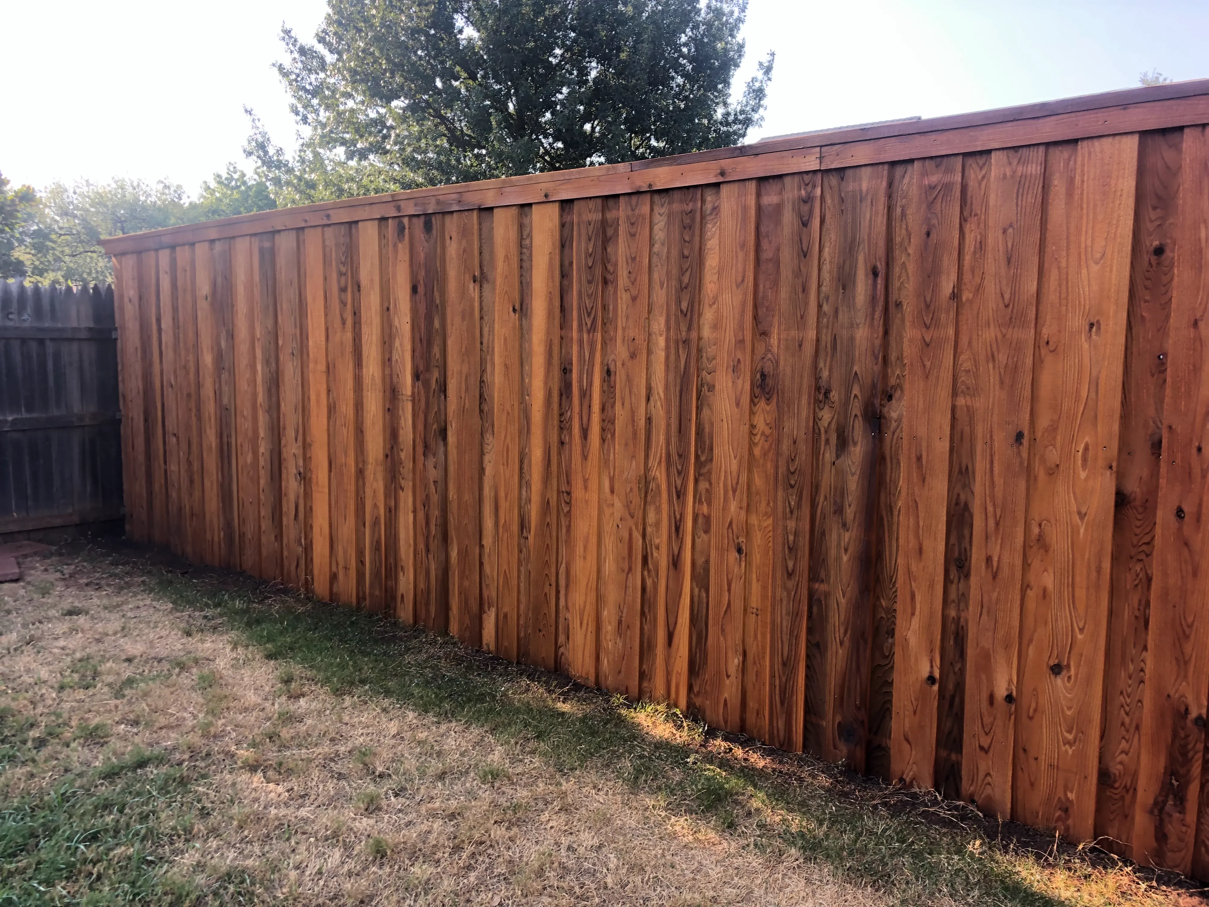 7-foot cedar privacy fence featuring crown cap detail and uniform boards